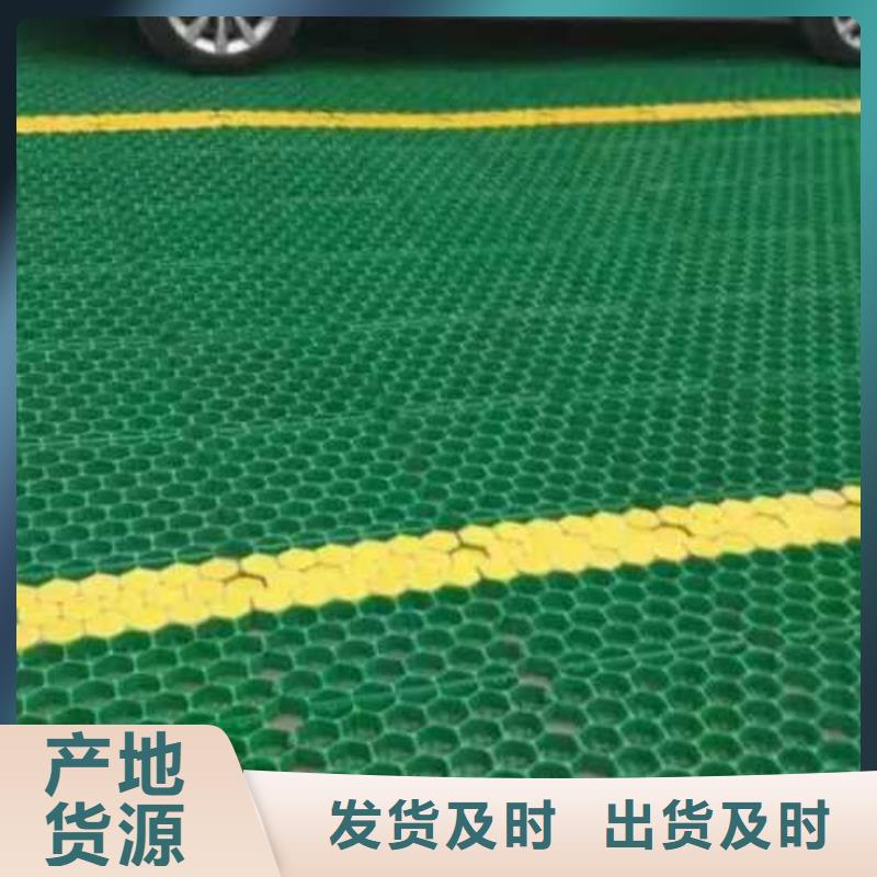 植草格_涤纶土工格栅贴心服务