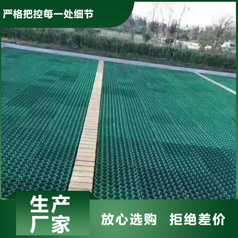 植草格HDPE土工膜技术先进