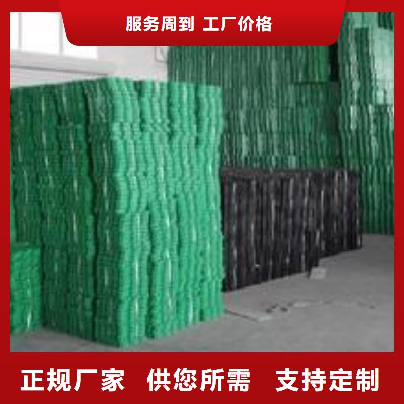 植草格三维土工网垫注重细节