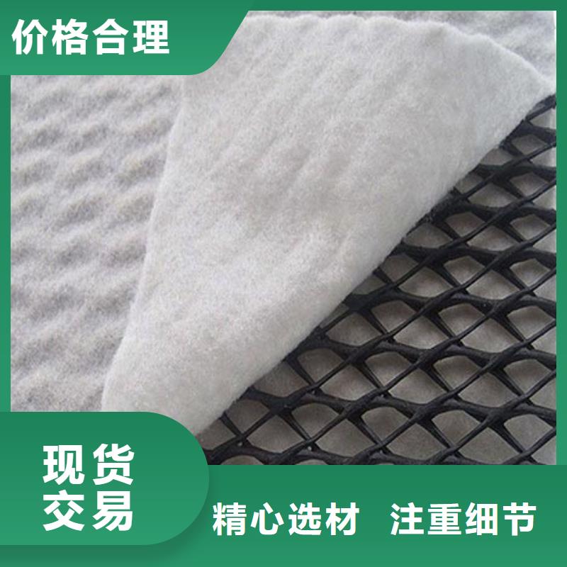 三维复合排水网双向塑料土工格栅选择大厂家省事省心