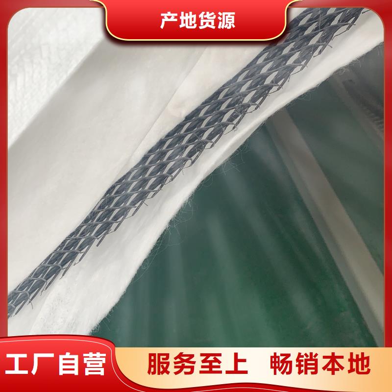 选购【恒丰】三维复合排水网长丝土工布多种规格供您选择