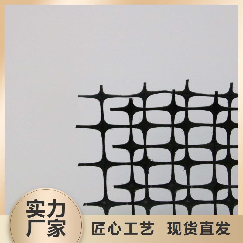 塑料土工格栅加筋布颜色尺寸款式定制