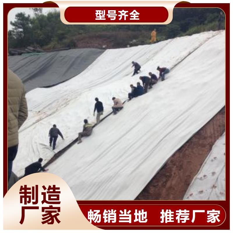 【膨润土防水毯】_塑料土工格栅诚信经营