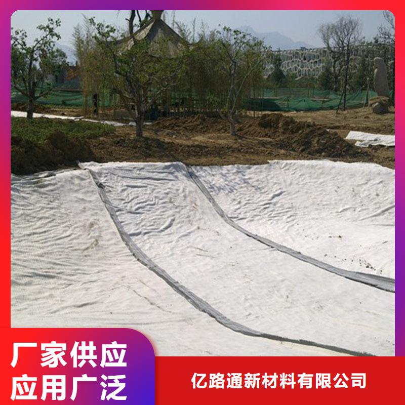 【膨润土防水毯】玻纤土工格栅畅销本地