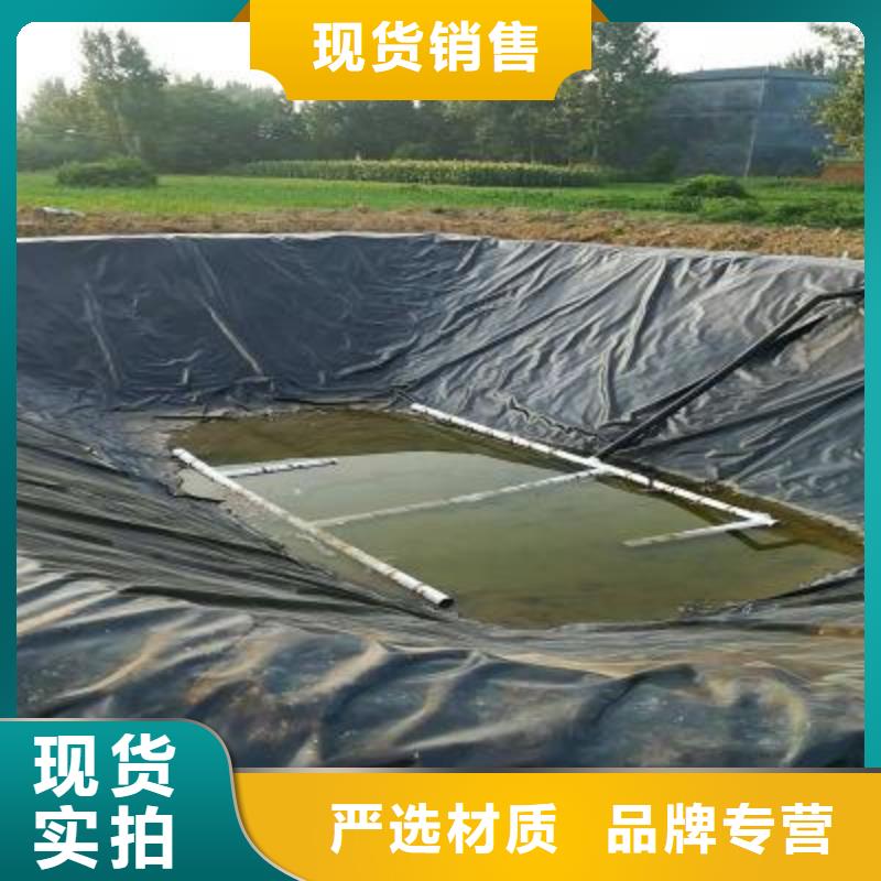 土工膜_钢塑土工格栅N年专注
