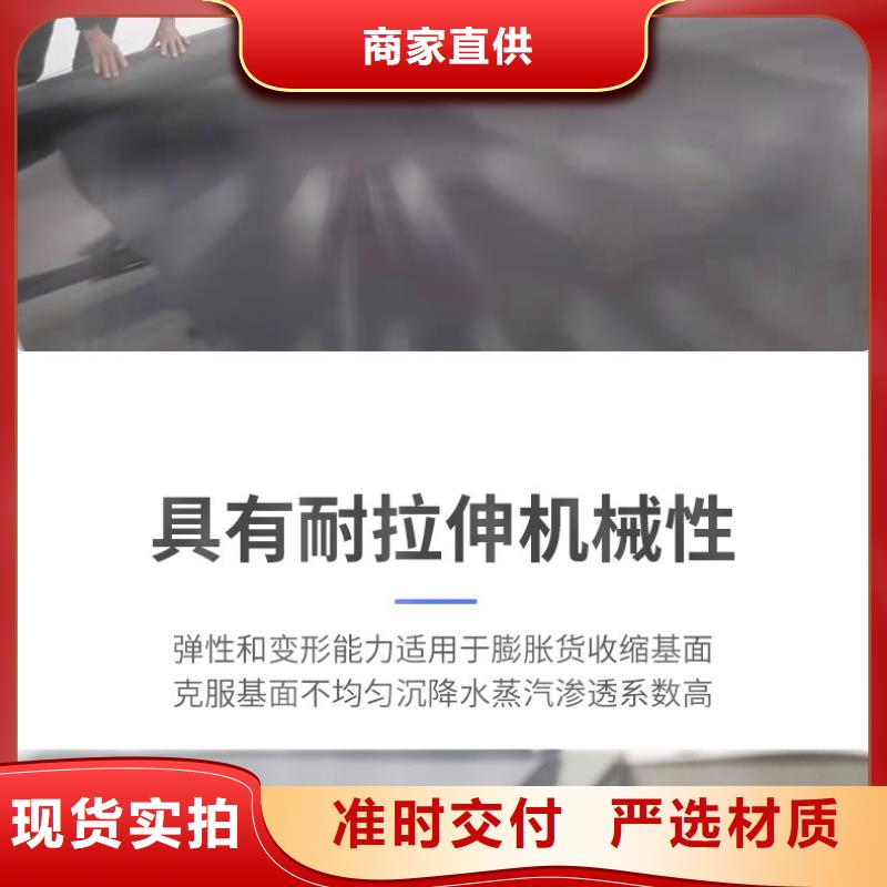 土工膜,塑料土工滤网厂家货源
