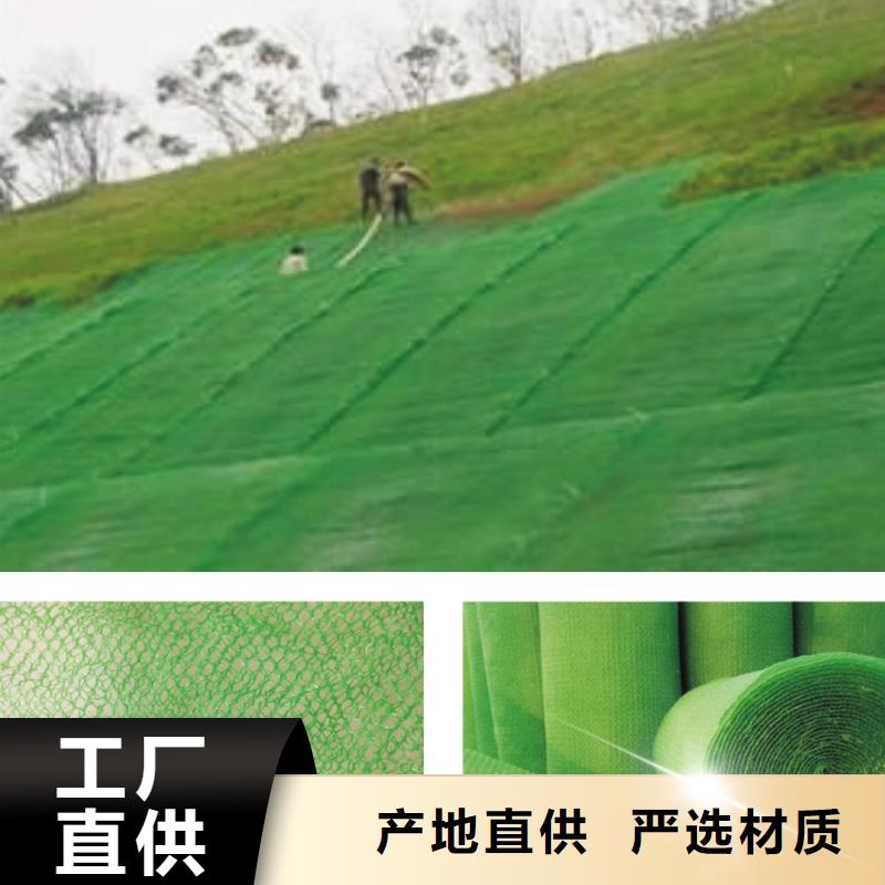 三维植被网【养护土工布】用心服务