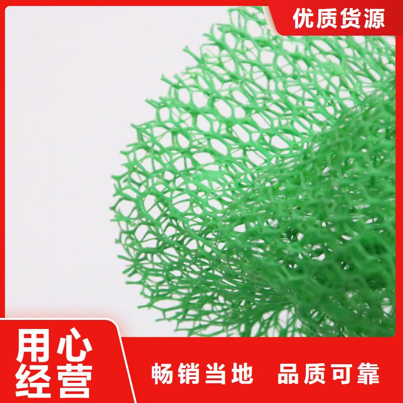 三维植被网钢塑土工格栅当日价格