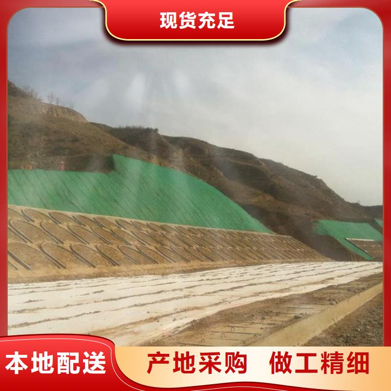 三维植被网塑料排水板销售的是诚信