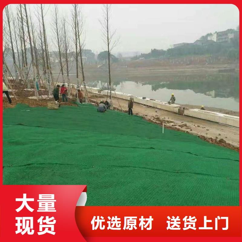 【三维植被网】双向塑料土工格栅按需定制