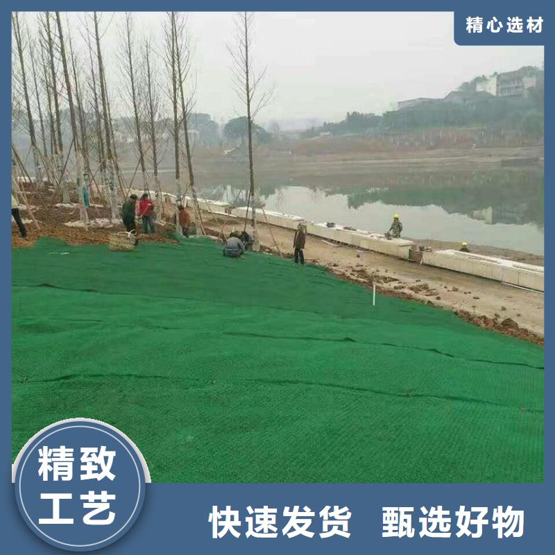 三维植被网涤纶土工格栅多种规格可选
