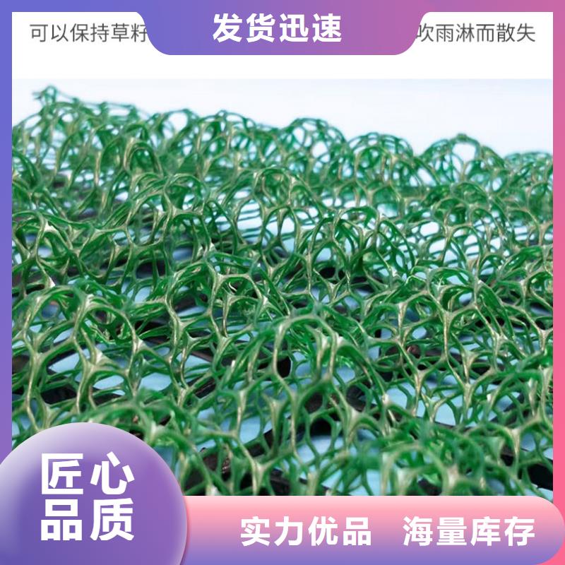 三维植被网-聚乙烯土工膜用心经营