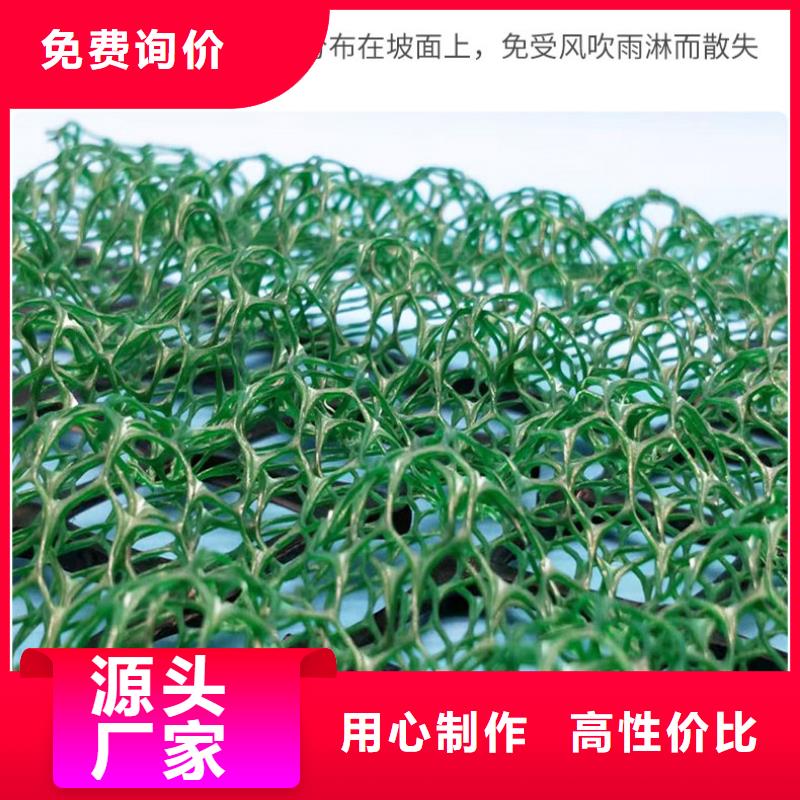 三维植被网-土工布货品齐全