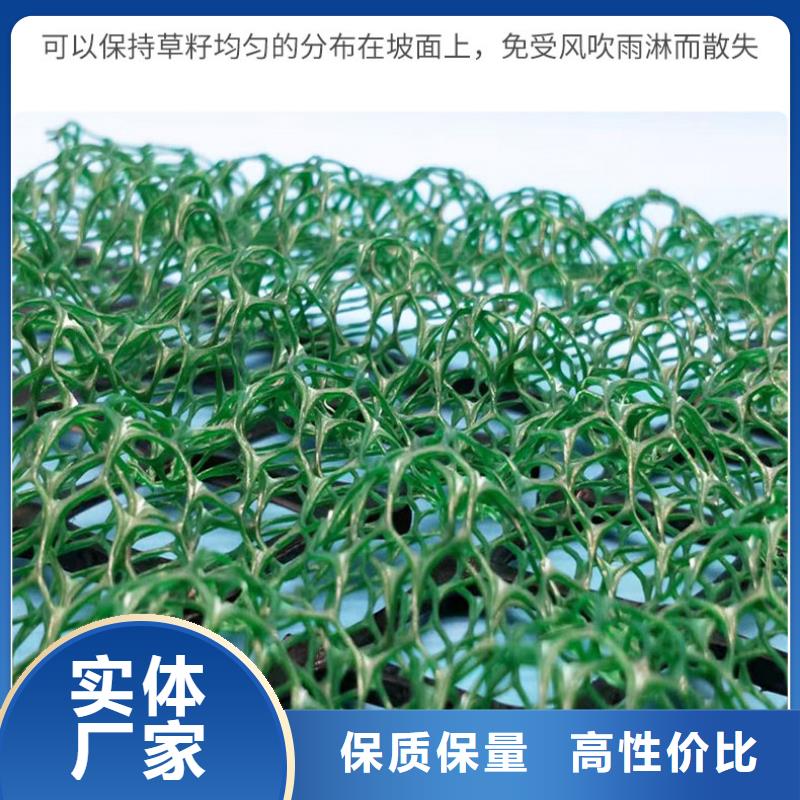 【三维植被网】双向塑料土工格栅按需定制