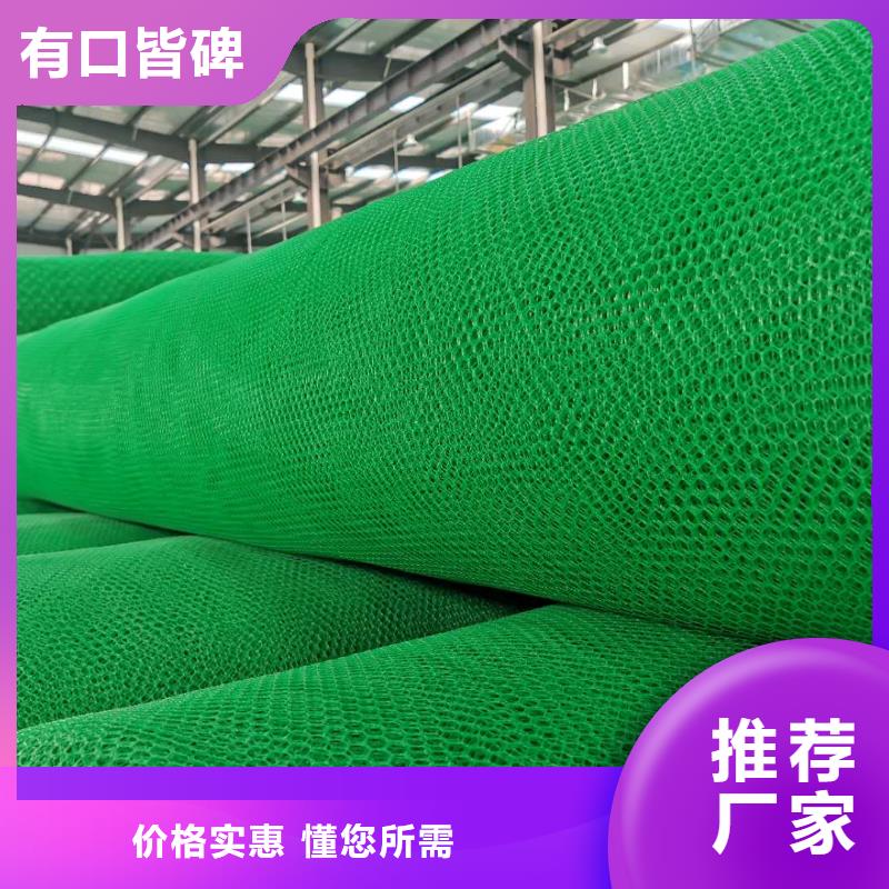 【三维植被网】_涤纶土工格栅厂家直接面向客户