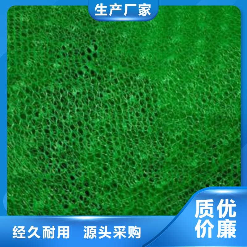 三维植被网玻纤土工格栅应用范围广泛