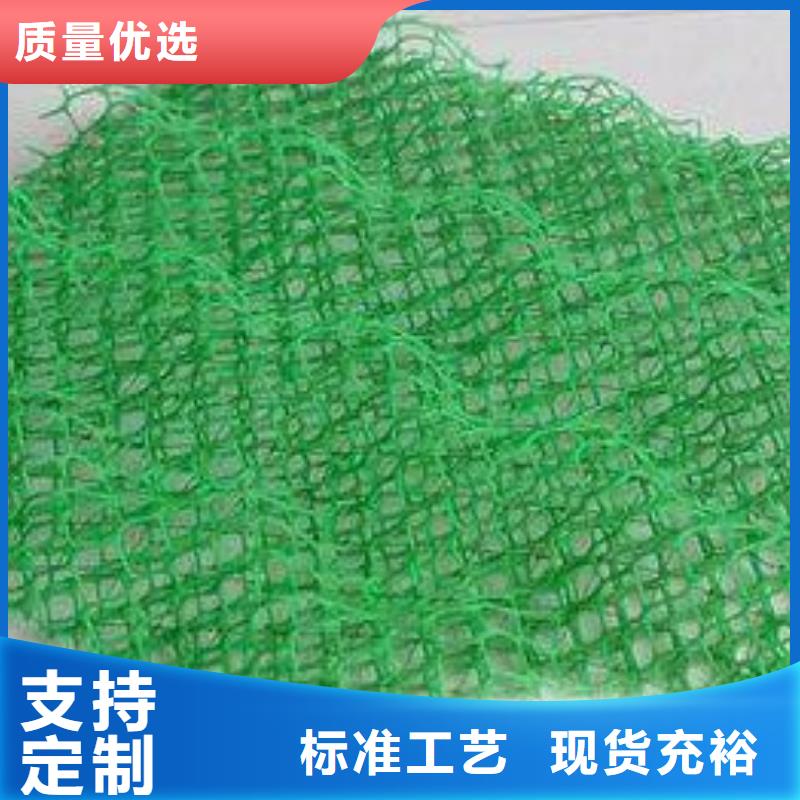 【三维植被网】三维土工网垫实体厂家