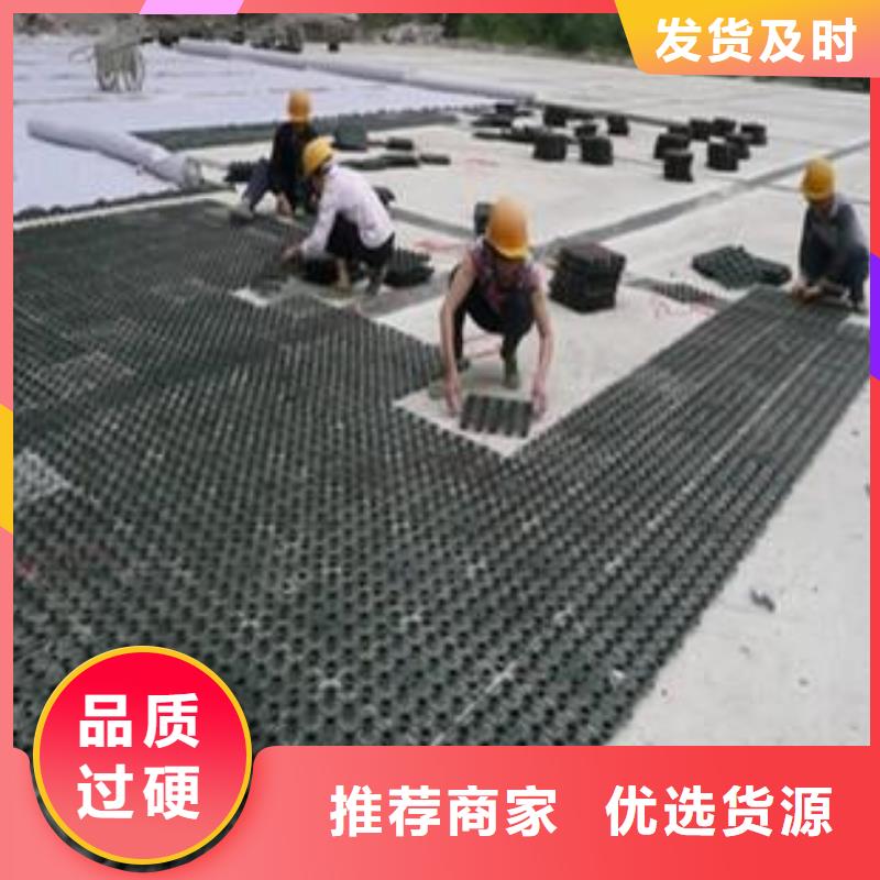 塑料排水板_土工席垫设计合理