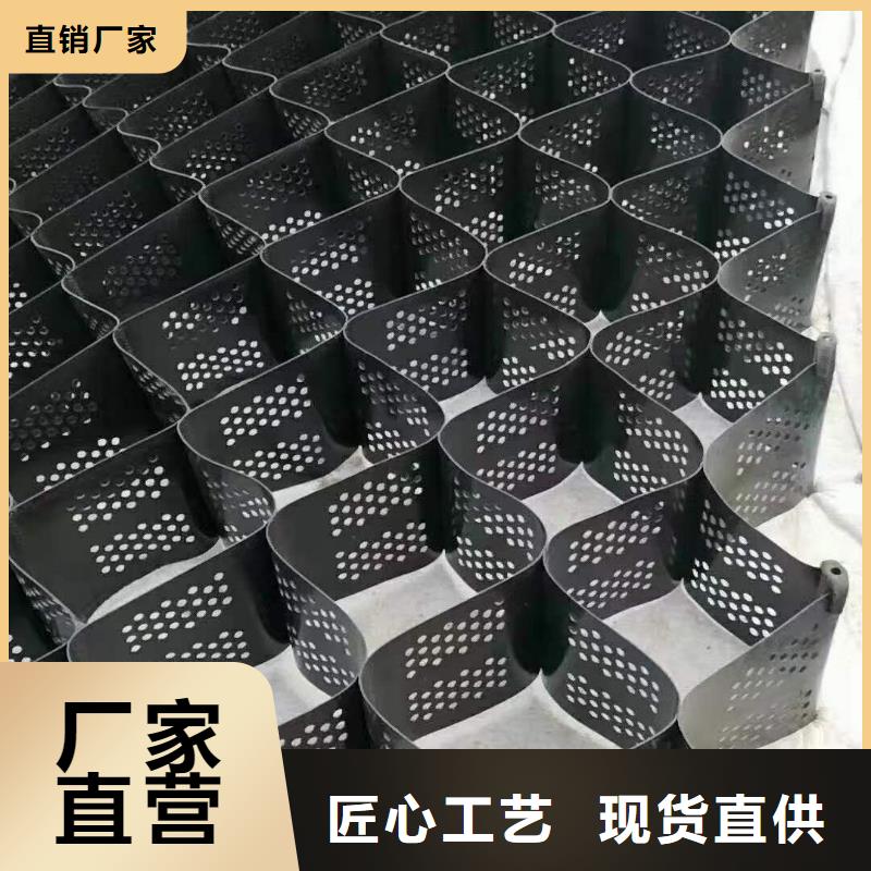 土工格室钢塑土工格栅源头采购