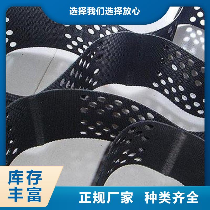 土工格室凸结点钢塑土工格栅为您精心挑选