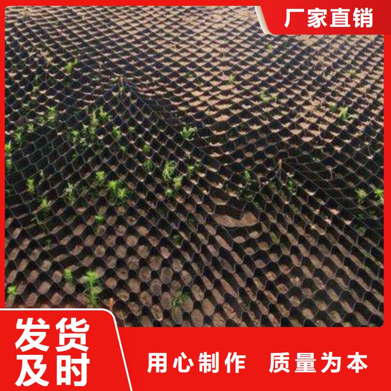 土工格室_【护坡土工网】产地源头好货
