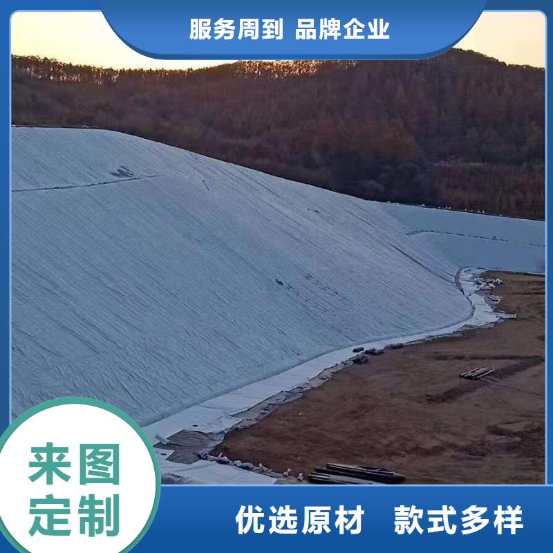 【三维复合排水网】防水土工布厂家实力雄厚