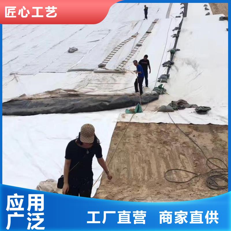 三维复合排水网三维土工网垫现货充足