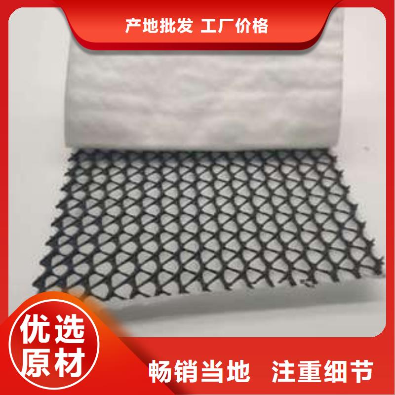 三维复合排水网钢塑土工格栅一周内发货