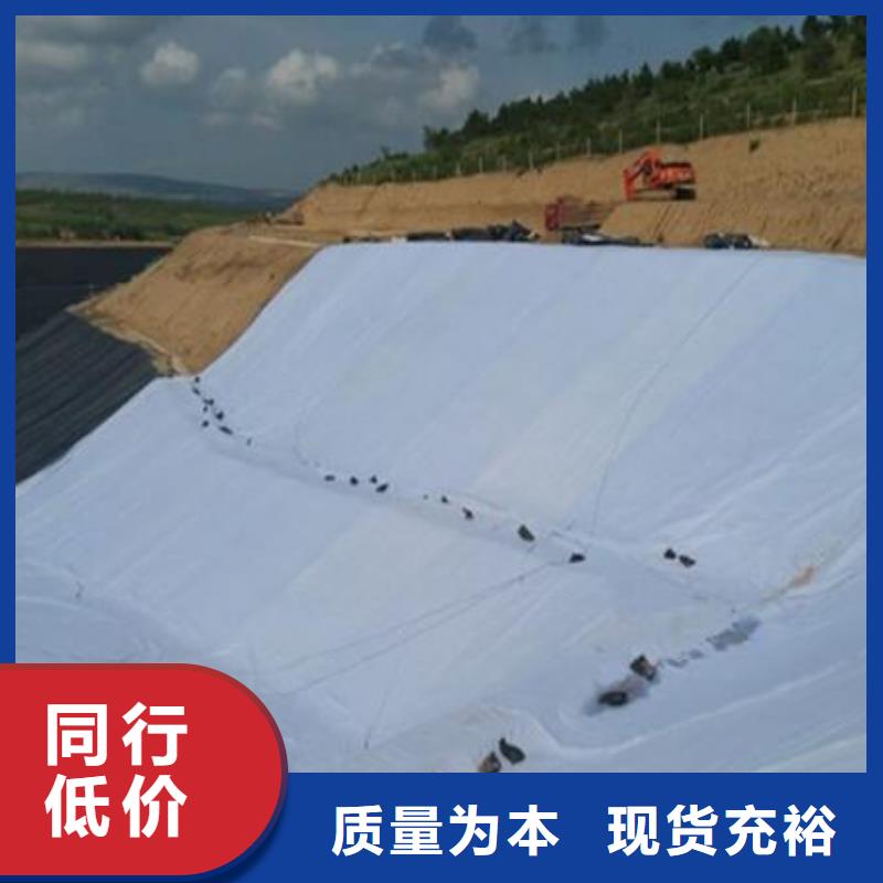 三维复合排水网三维土工网垫现货充足