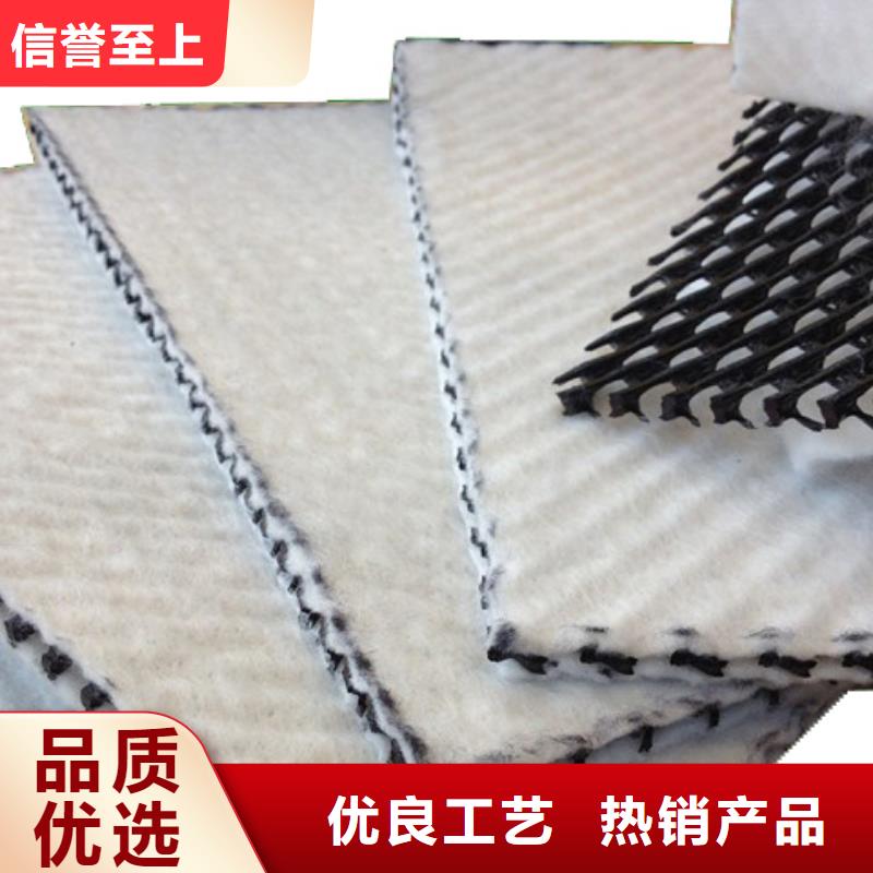 三维复合排水网钢塑土工格栅一周内发货