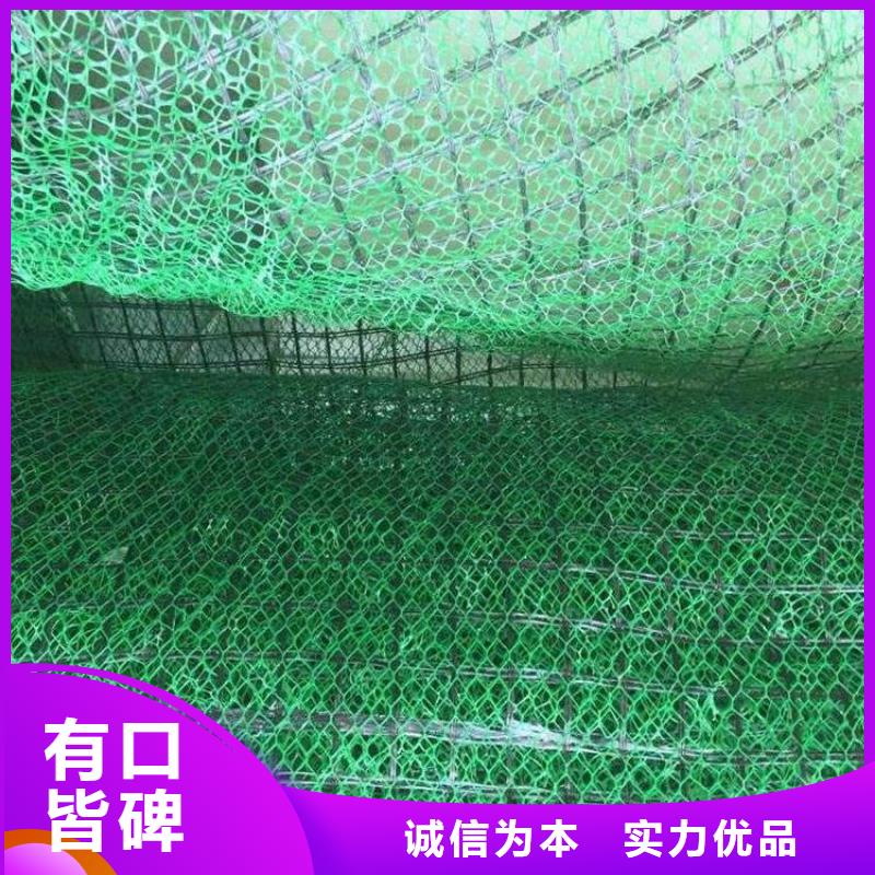 【三维植被网】双向塑料土工格栅规格型号全