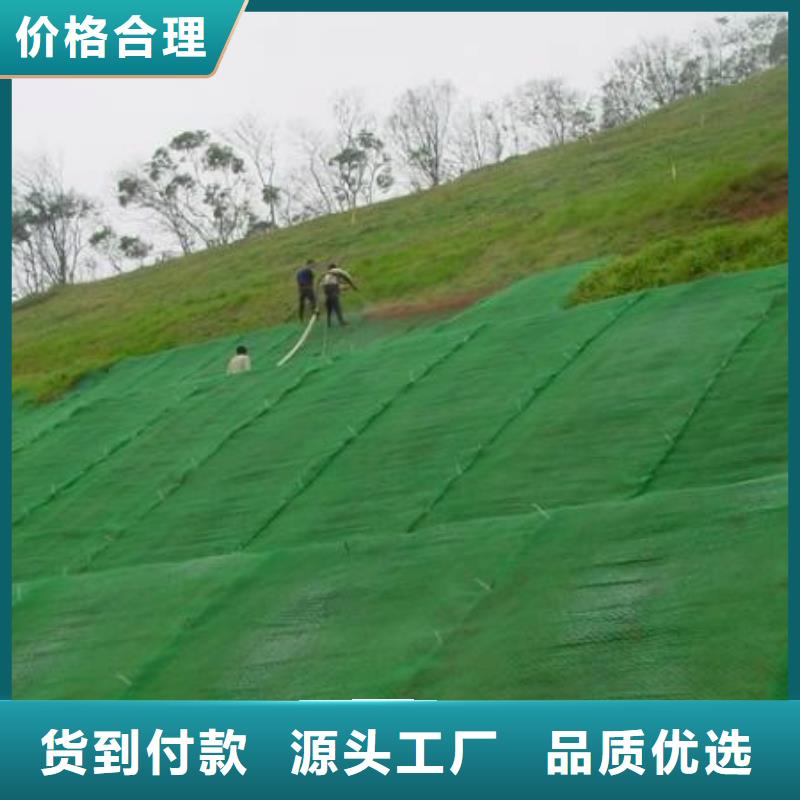 【三维植被网凸结点钢塑土工格栅工厂价格】