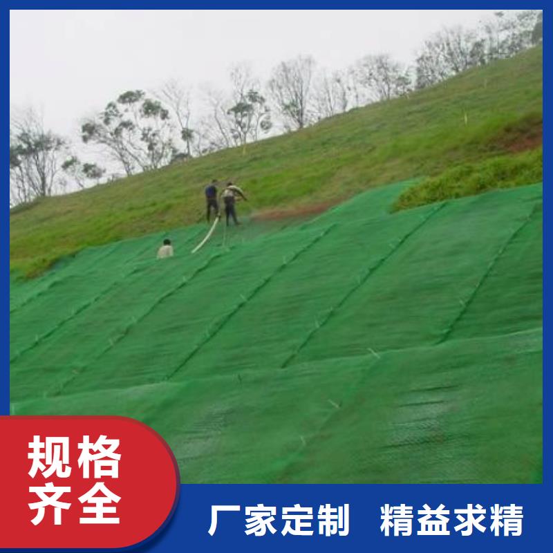 【三维植被网】钢塑土工格栅品种全