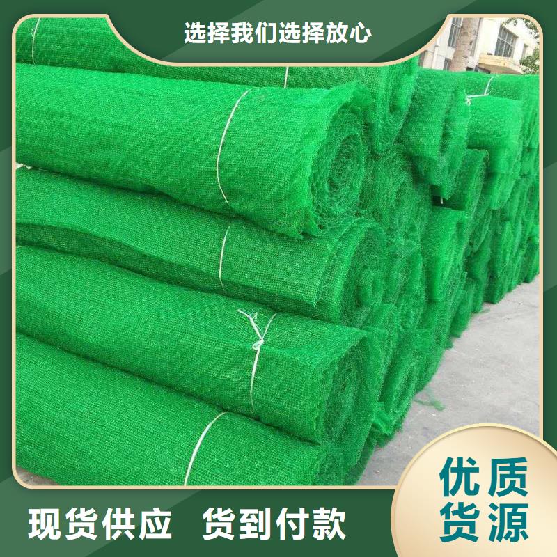三维植被网三维土工网垫工艺精细质保长久