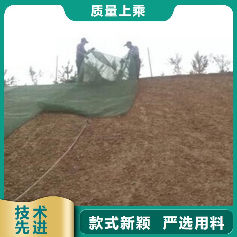 三维植被网-【工程布】工艺层层把关