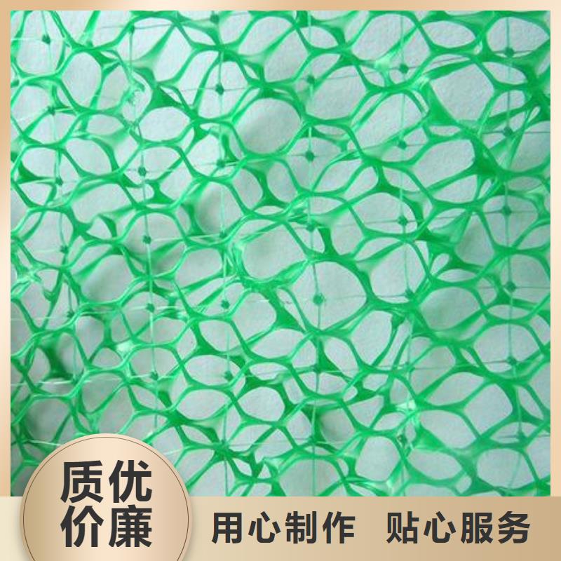 三维植被网单向塑料格栅种类齐全