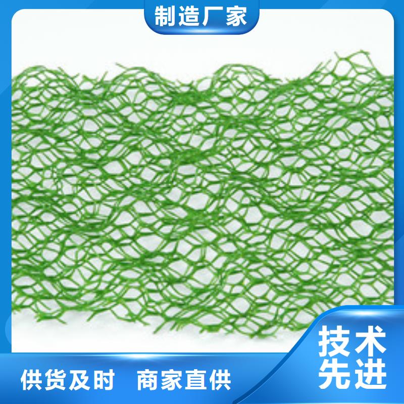 三维植被网【双向塑料格栅】价格低