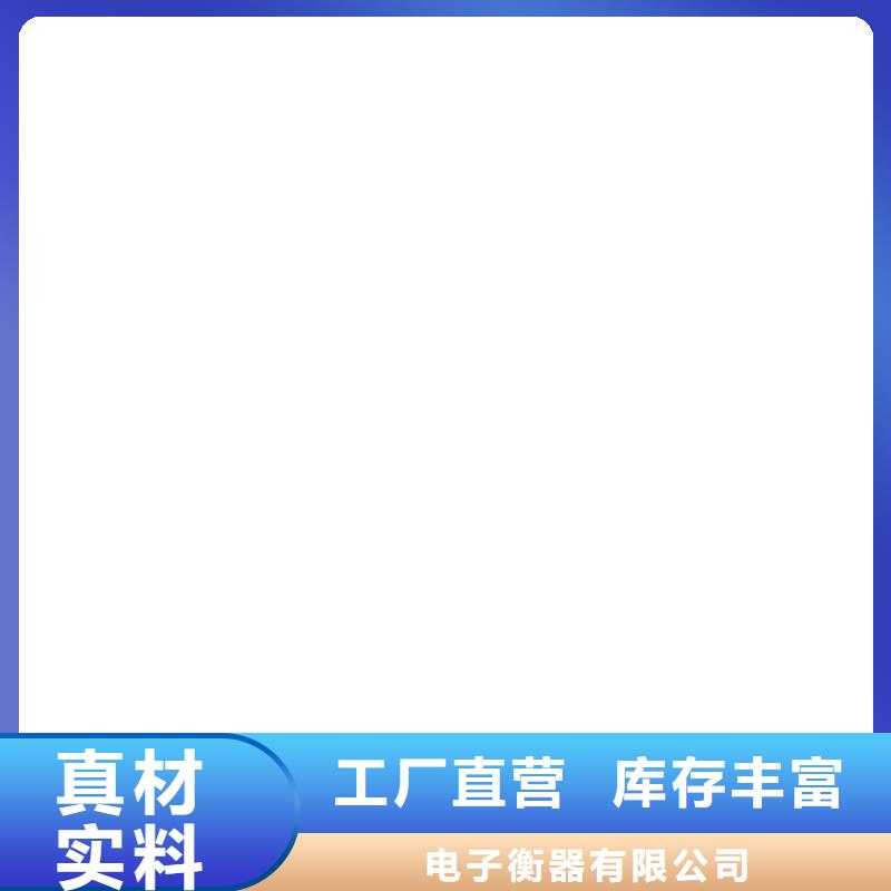 【工地洗轮机电子天平工厂自营】