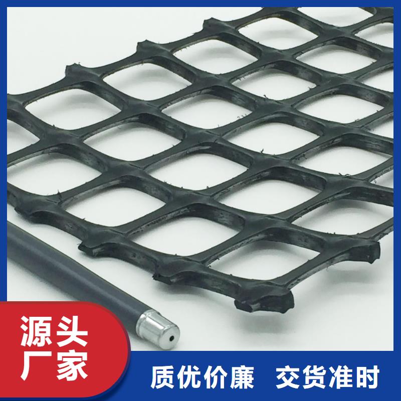 【双向塑料土工格栅_土工席垫实力商家供货稳定】