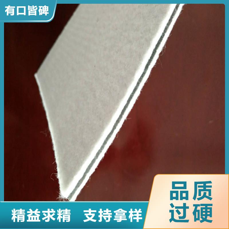 土工膜长丝土工布多年行业经验