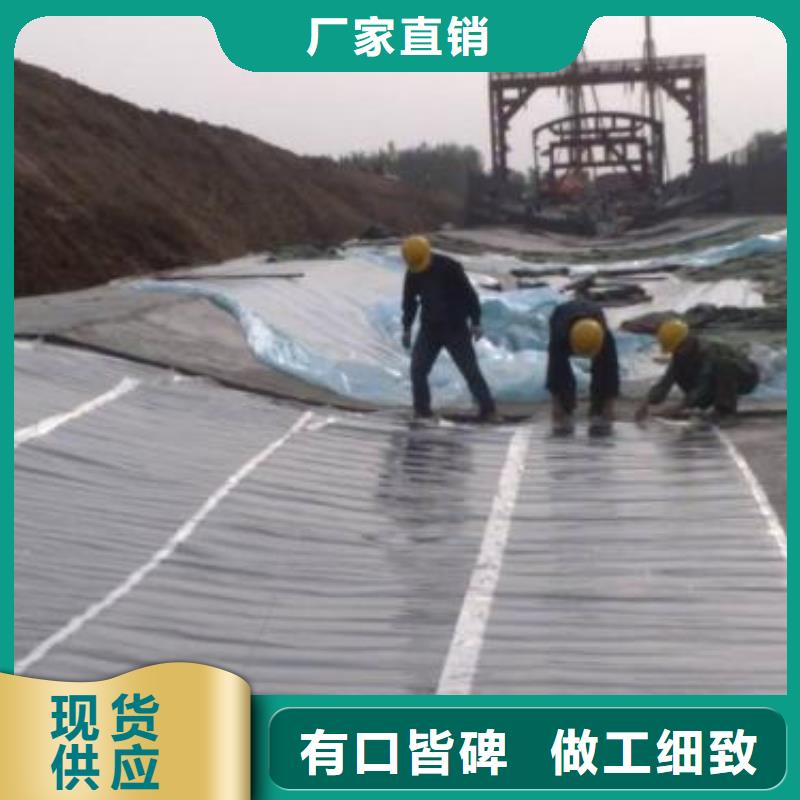 土工膜单向拉伸塑料格栅源头工厂量大优惠
