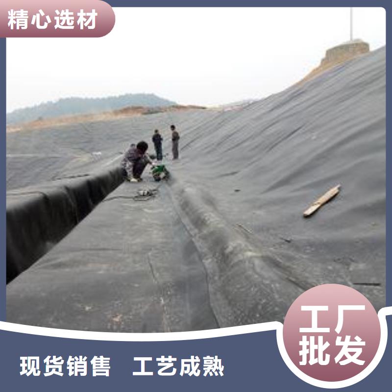 土工膜_三维植被网产地采购