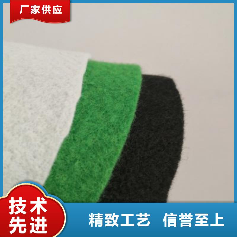 土工布_长丝土工布严谨工艺