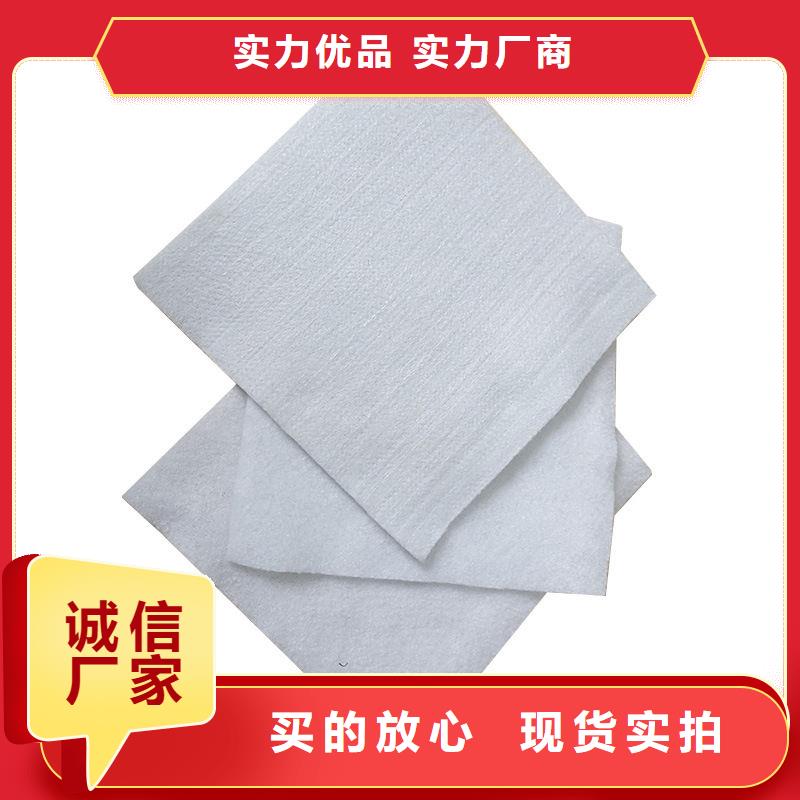 土工布膨润土防水垫定制速度快工期短
