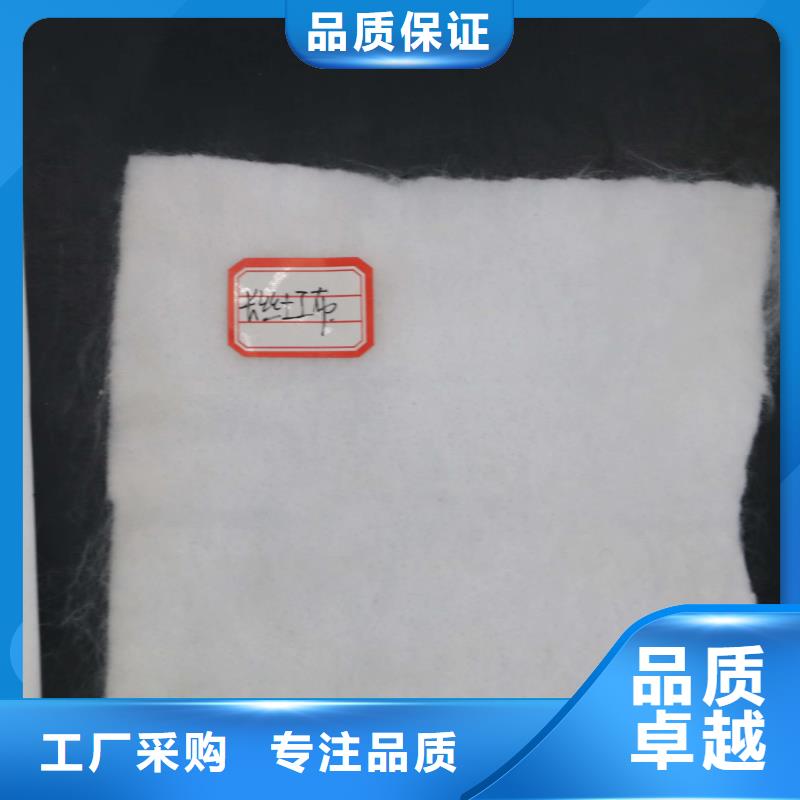土工布单向拉伸塑料格栅优选厂商