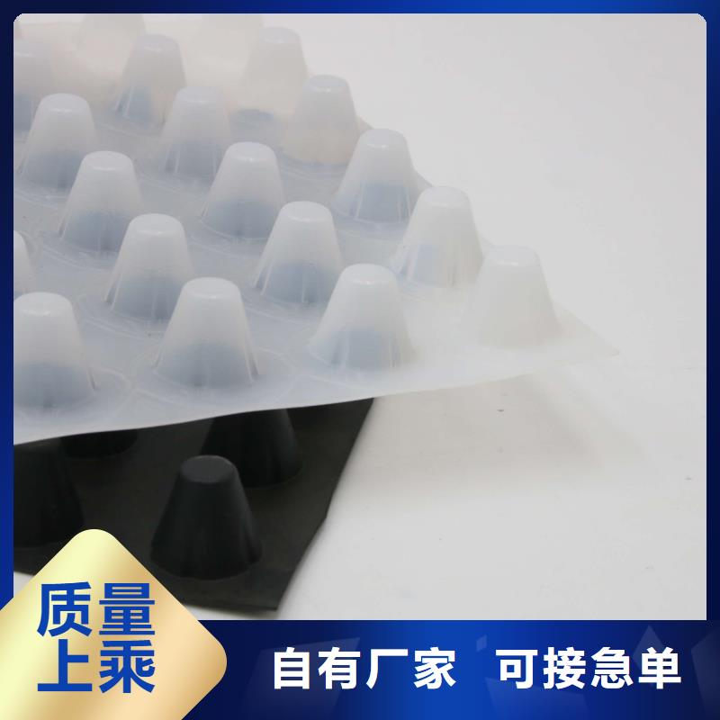 蓄排水板渗排水片材优选厂家