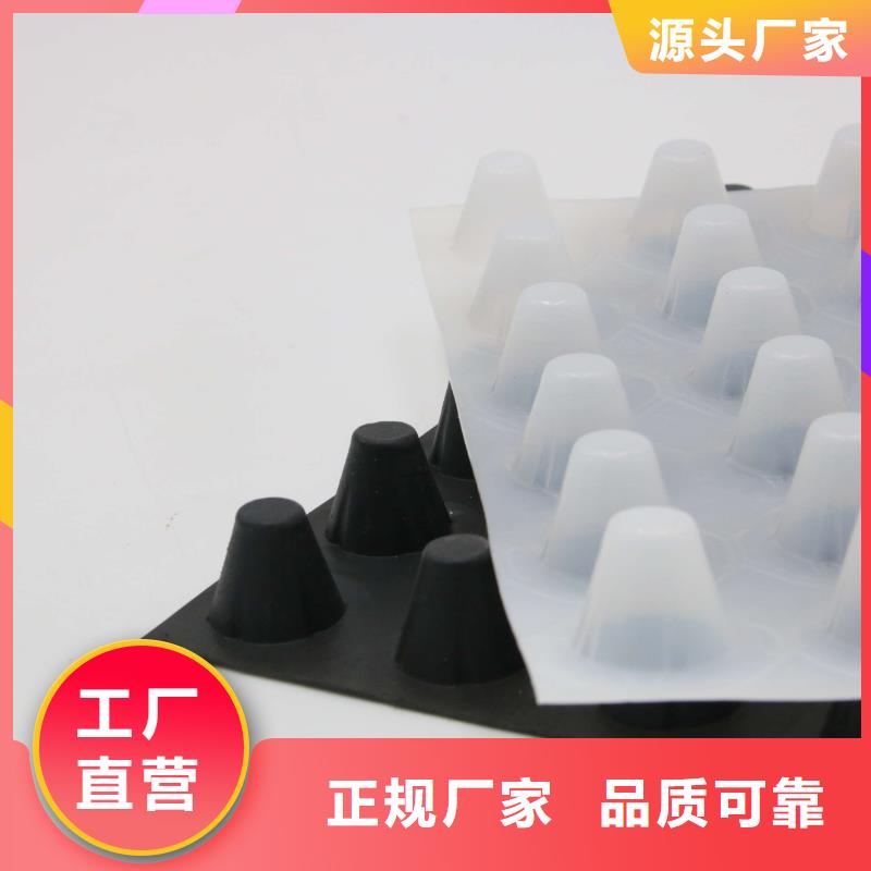 蓄排水板三维土工网垫工厂价格