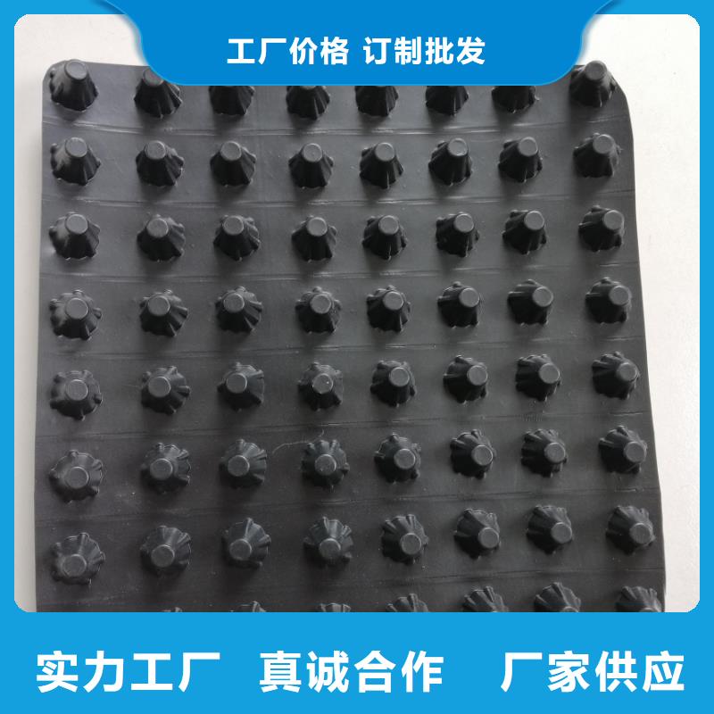 蓄排水板_三维复合排水网来电咨询