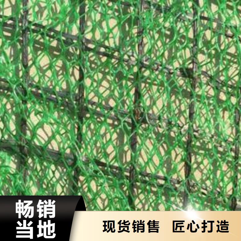 【三维植被网】,涤纶土工格栅诚信商家