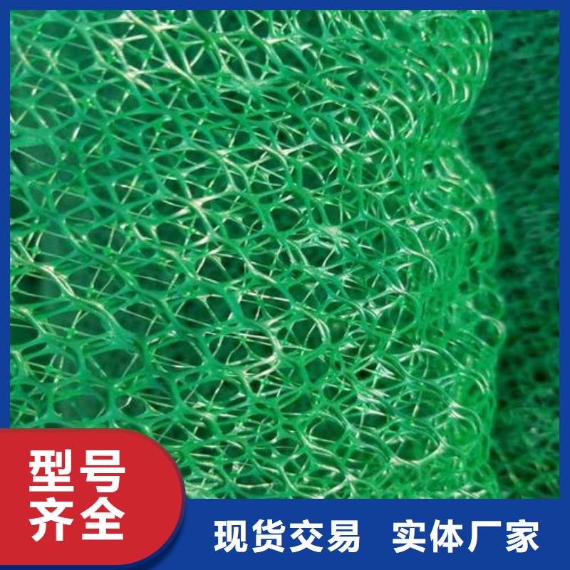 【三维植被网】-双向塑料土工格栅交货准时